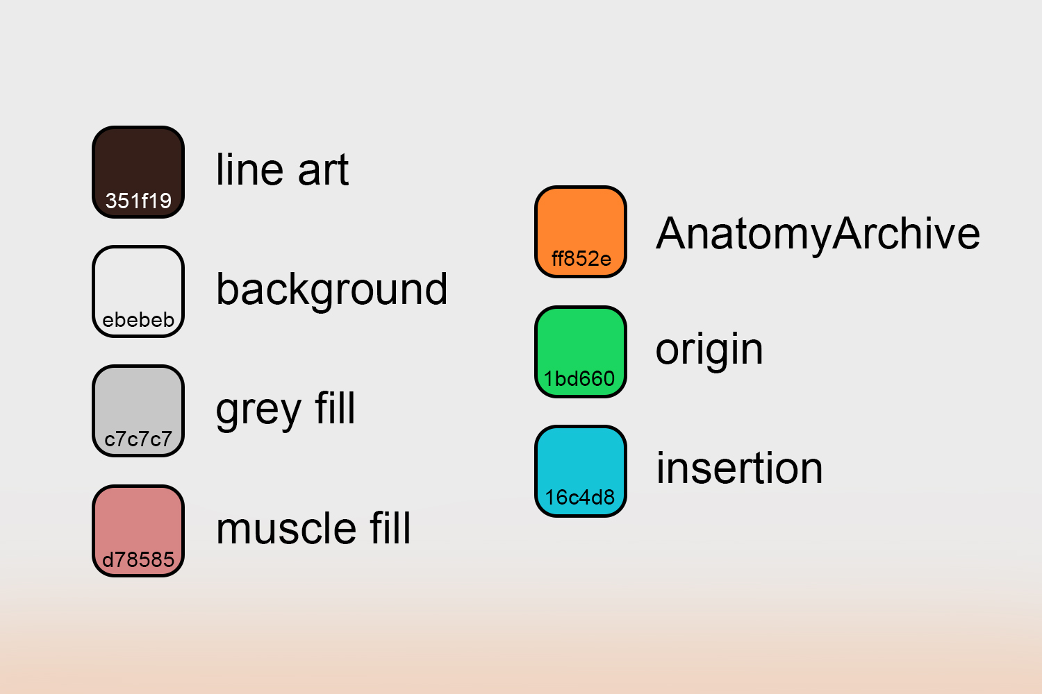 color sheet 2.jpg