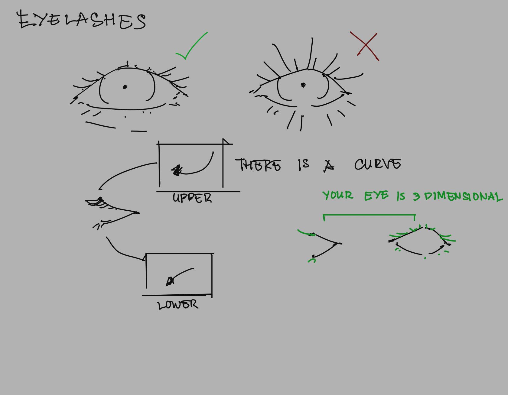 eye lashes