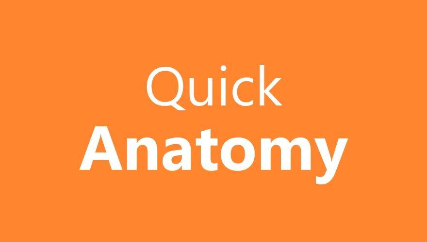 quick anatomy shelve cover.jpeg
