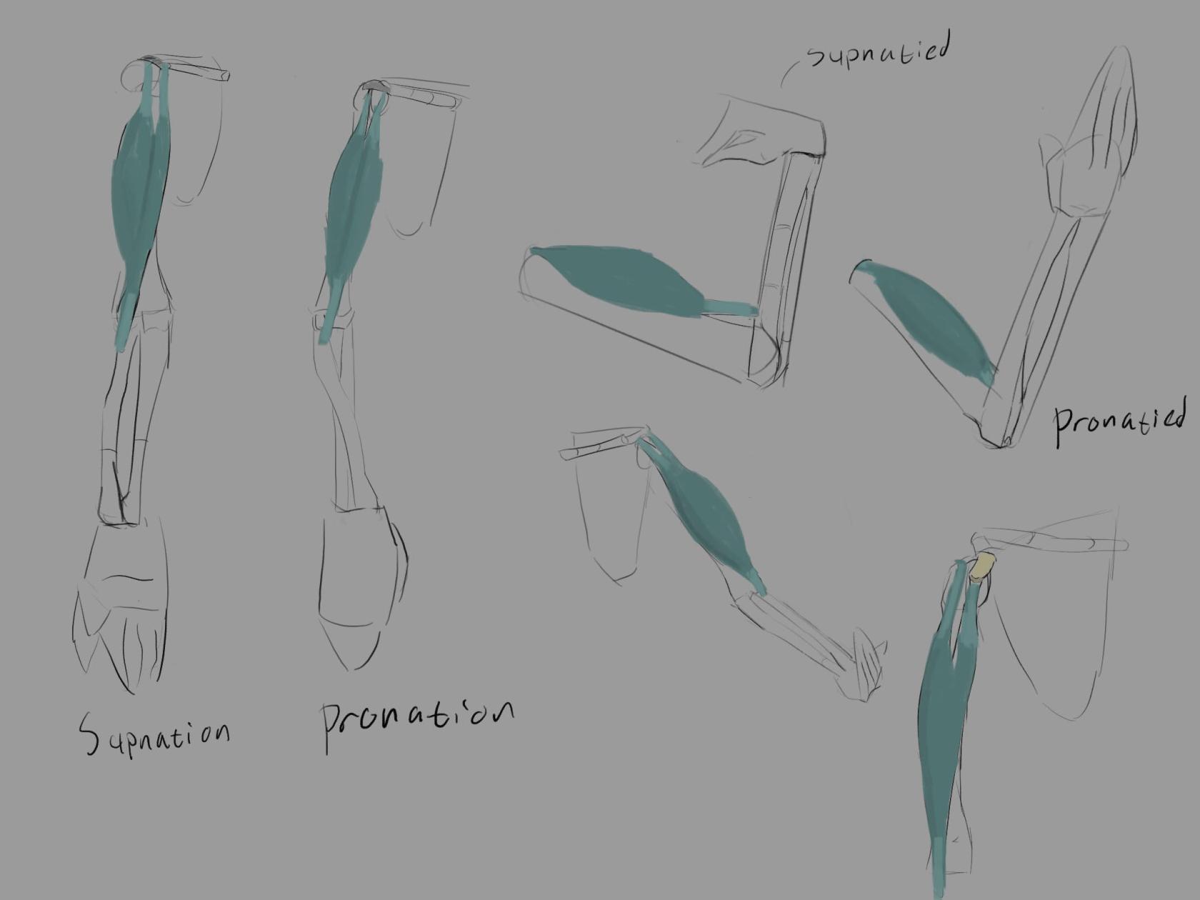 unnamed.jpg