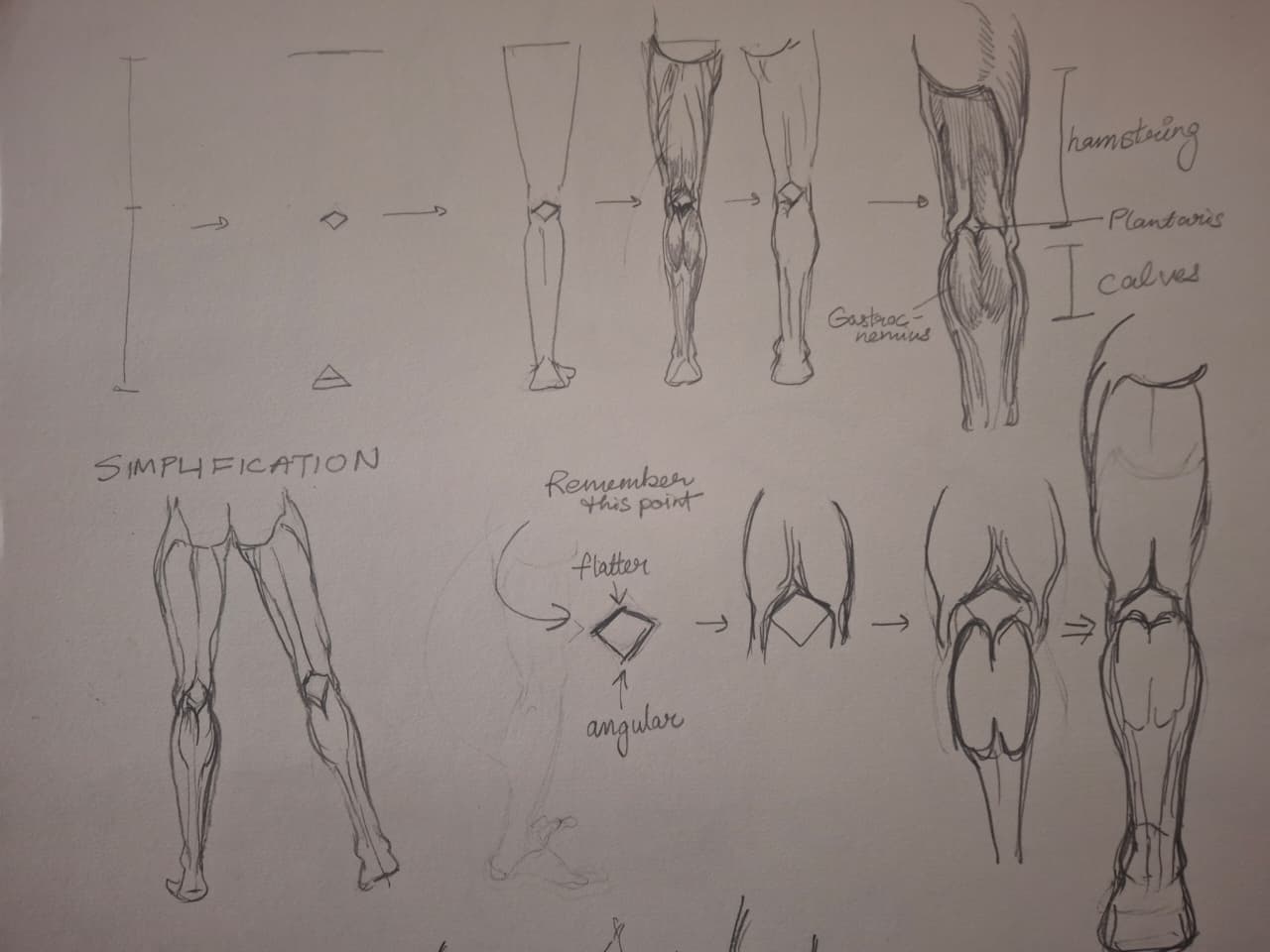 WhatsApp Image 2026-01-24 at 02.20.19.jpeg