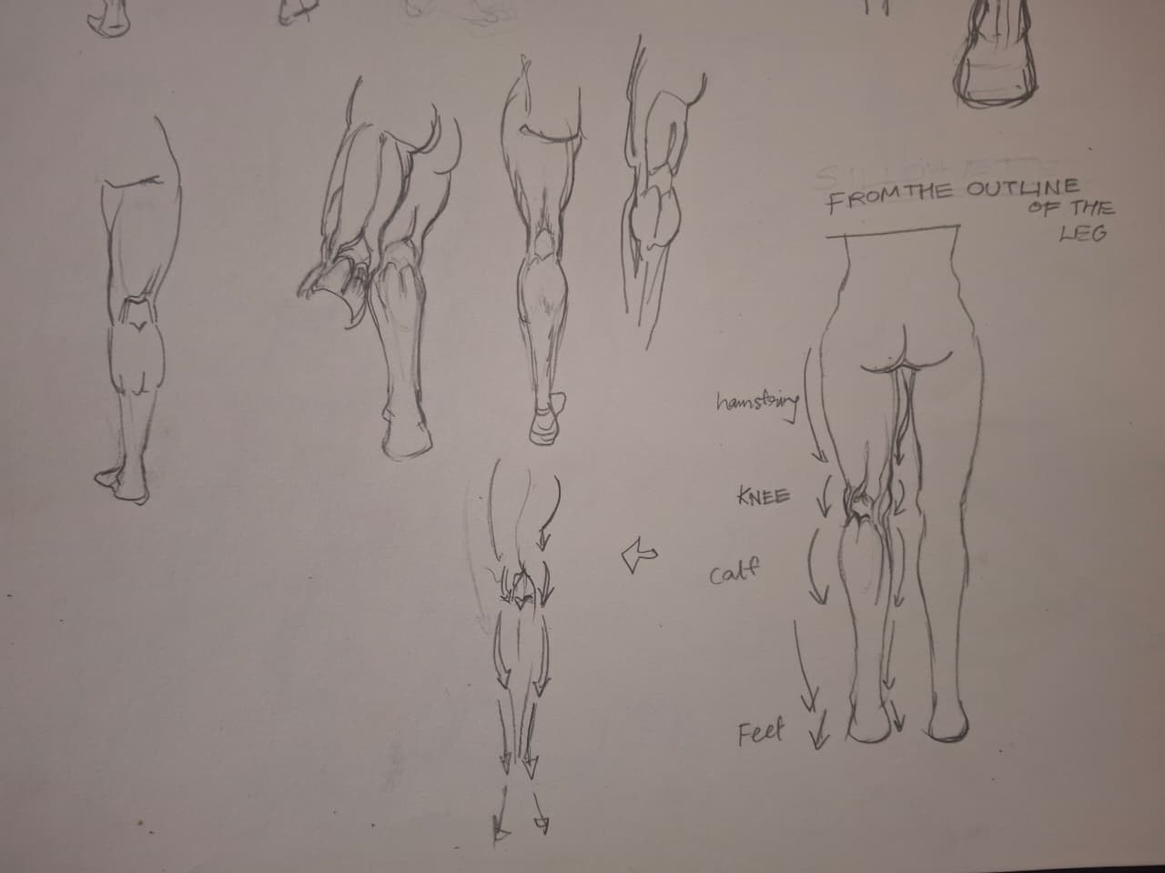 WhatsApp Image 2026-01-24 at 02.20.19 (1).jpeg