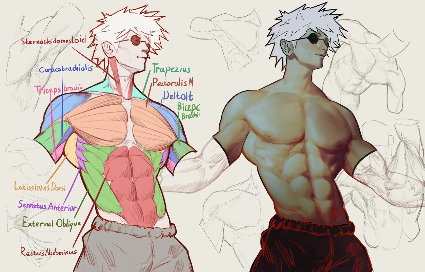 gojo upper body anatomy 1.webp
